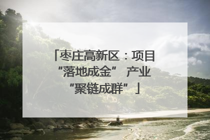 枣庄高新区：项目“落地成金” 产业“聚链成群”