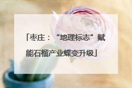 枣庄：“地理标志”赋能石榴产业蝶变升级