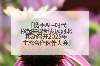 携手AI+时代 移起共谋新发展河北移动召开2025年生态合作伙伴大会