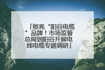 擦亮“阳谷电缆”品牌！市场监管总局到阳谷开展电线电缆专题调研
