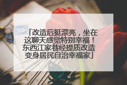 改造后挺漂亮，坐在这聊天感觉特别幸福！东西江家巷经提质改造变身居民自治幸福家