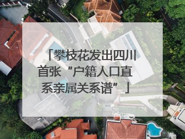 攀枝花发出四川首张“户籍人口直系亲属关系谱”