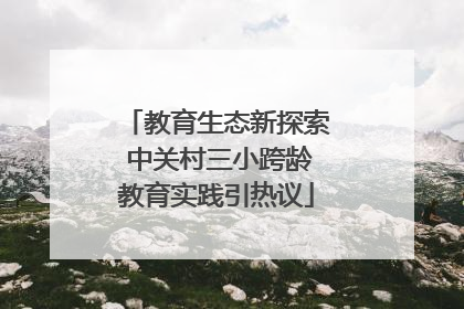 教育生态新探索 中关村三小跨龄教育实践引热议