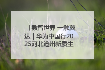 数智世界 一触冀达｜华为中国行2025河北沧州新质生产力峰会成功举办