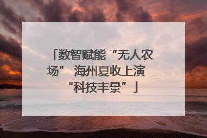 数智赋能“无人农场” 海州夏收上演“科技丰景”