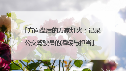 方向盘后的万家灯火：记录公交驾驶员的温暖与担当