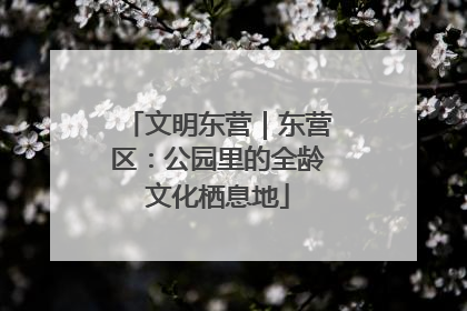 文明东营｜东营区：公园里的全龄文化栖息地