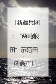 新疆兵团：“两吨粮田”示范田创高产