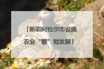 新疆阿拉尔市设施农业“棚”勃发展