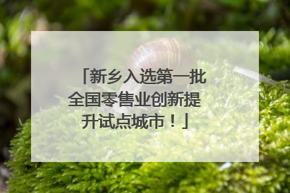 新乡入选第一批全国零售业创新提升试点城市！