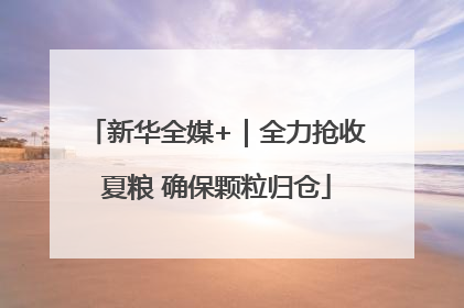 新华全媒+｜全力抢收夏粮 确保颗粒归仓