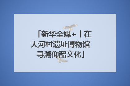 新华全媒+丨在大河村遗址博物馆寻溯仰韶文化
