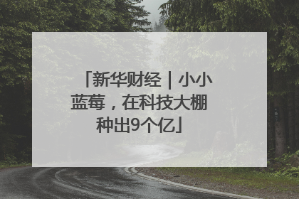 新华财经｜小小蓝莓，在科技大棚种出9个亿