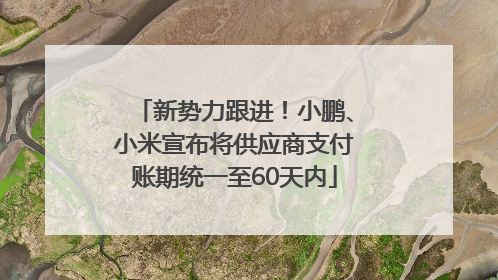 新势力跟进！小鹏、小米宣布将供应商支付账期统一至60天内