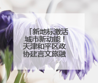 新地标激活城市新动能！天津和平区政协建言文旅融合发展