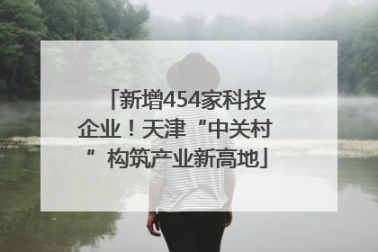 新增454家科技企业！天津“中关村”构筑产业新高地