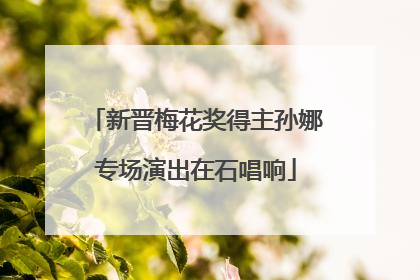 新晋梅花奖得主孙娜专场演出在石唱响