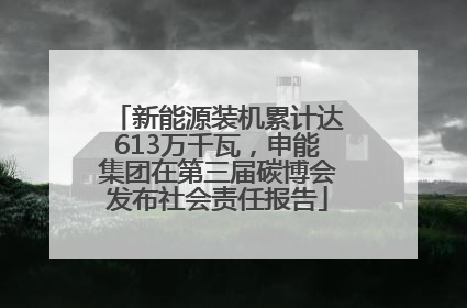 新能源装机累计达613万千瓦，申能集团在第三届碳博会发布社会责任报告