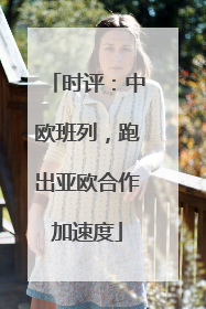 时评：中欧班列，跑出亚欧合作加速度