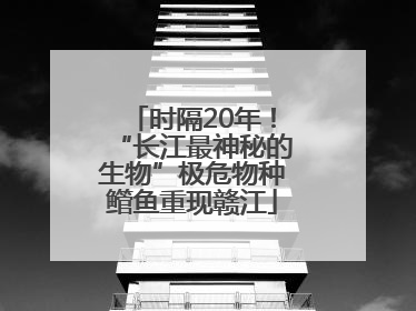 时隔20年！“长江最神秘的生物”极危物种鳤鱼重现赣江