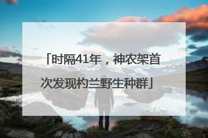 时隔41年，神农架首次发现杓兰野生种群