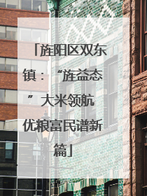 旌阳区双东镇：“旌益态”大米领航 优粮富民谱新篇