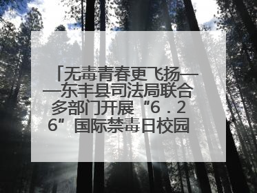 无毒青春更飞扬——东丰县司法局联合多部门开展“6．26”国际禁毒日校园宣讲活动