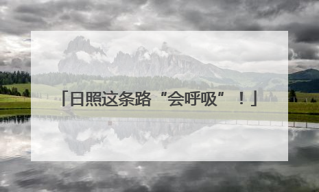 日照这条路“会呼吸”！