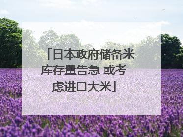 日本政府储备米库存量告急 或考虑进口大米