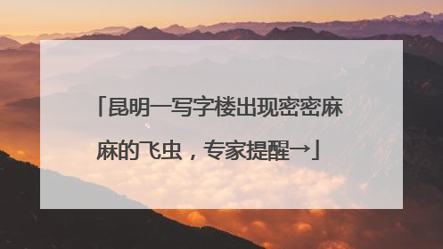 昆明一写字楼出现密密麻麻的飞虫，专家提醒→