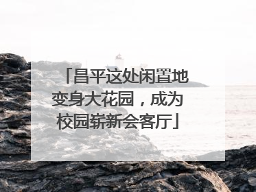 昌平这处闲置地变身大花园，成为校园崭新会客厅