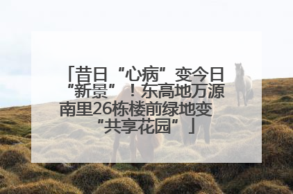 昔日“心病”变今日“新景”！东高地万源南里26栋楼前绿地变“共享花园”