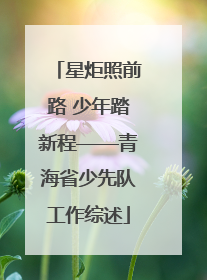 星炬照前路 少年踏新程——青海省少先队工作综述