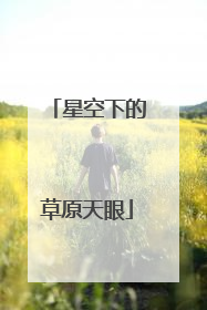 星空下的草原天眼