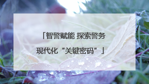 智警赋能 探索警务现代化“关键密码”