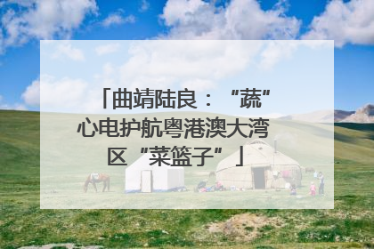 曲靖陆良：“蔬”心电护航粤港澳大湾区“菜篮子”