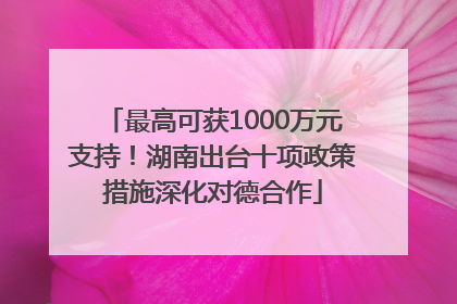 最高可获1000万元支持！湖南出台十项政策措施深化对德合作