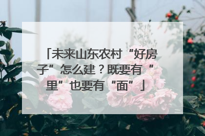 未来山东农村“好房子”怎么建？既要有“里”也要有“面”