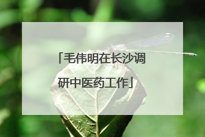 毛伟明在长沙调研中医药工作