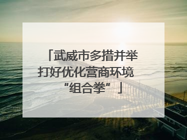 武威市多措并举打好优化营商环境“组合拳”