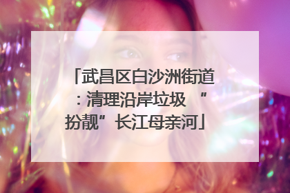 武昌区白沙洲街道：清理沿岸垃圾 “扮靓”长江母亲河