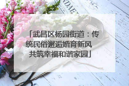 武昌区杨园街道:传统民俗邂逅婚育新风 共筑幸福和谐家园
