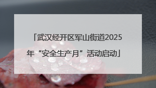 武汉经开区军山街道2025年“安全生产月”活动启动