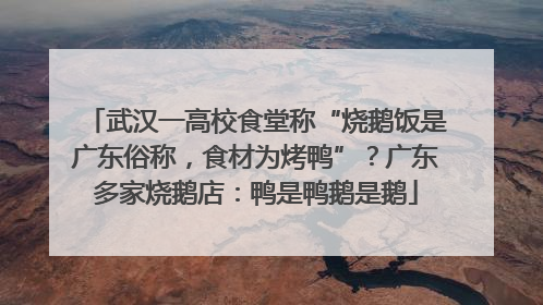武汉一高校食堂称“烧鹅饭是广东俗称，食材为烤鸭”？广东多家烧鹅店：鸭是鸭鹅是鹅