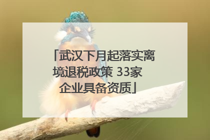 武汉下月起落实离境退税政策 33家企业具备资质