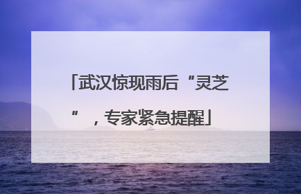 武汉惊现雨后“灵芝”，专家紧急提醒