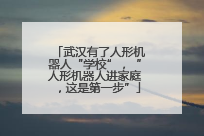 武汉有了人形机器人“学校”，“人形机器人进家庭，这是第一步”