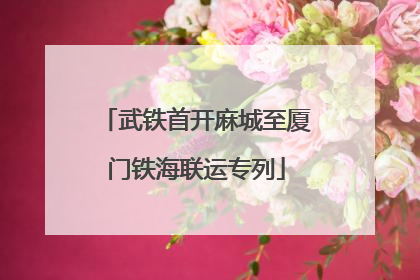 武铁首开麻城至厦门铁海联运专列