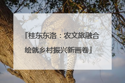 桂东东洛：农文旅融合绘就乡村振兴新画卷
