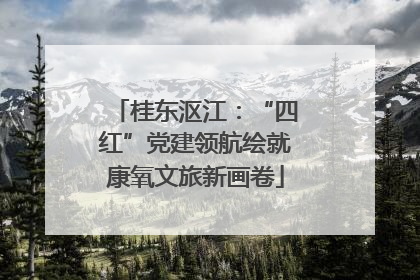 桂东沤江：“四红”党建领航绘就康氧文旅新画卷